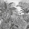 Jungle fotobehang Evolution