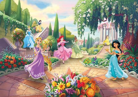 Disney Princess behang Park