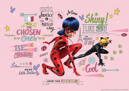 Miraculous behang Ladybug en Cat Noir