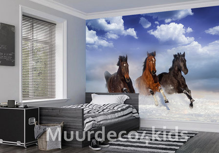 Paarden in de sneeuw fotobehang