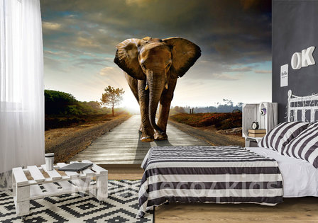 Afrikaanse olifant fotobehang XL