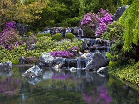 Waterval en bloemen fotobehang XL