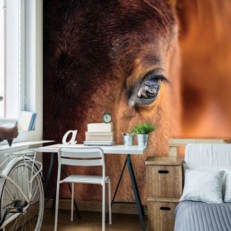 Bruin Paard fotobehang Oog