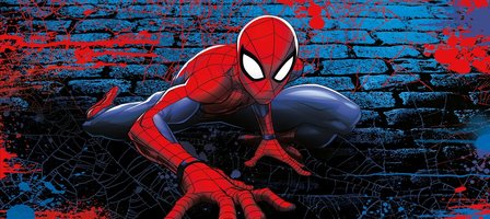 Spiderman poster H
