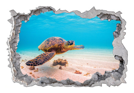 Onderwater 3D muursticker Zeeschildpad