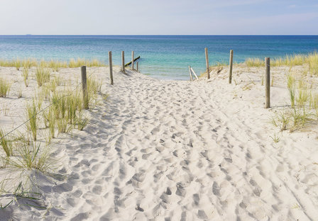 Strand fotobehang Naar het strand