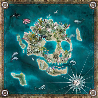 Piraten behang Skull Island