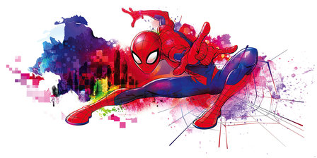 Spiderman behang Graffiti Art