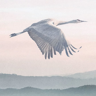 Kraanvogel behang Mystic Cranes