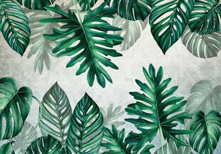 Botanisch behang Monstera bladeren groen