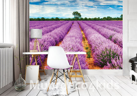 Lavendel behang Provence