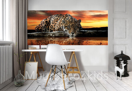 Jaguar behang poster H