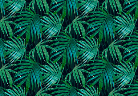 Groene palmbladeren behang Botanisch