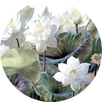 Muurcirkel Lotusbloem