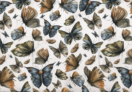Grote vlinders behang