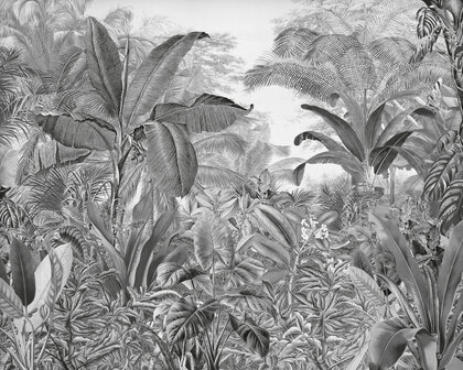 Botanisch behang Roraima