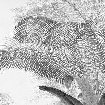 detail Jungle behang Roraima