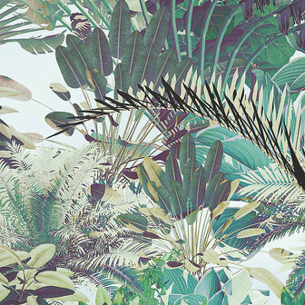 detail fotobehang Tropical Heaven