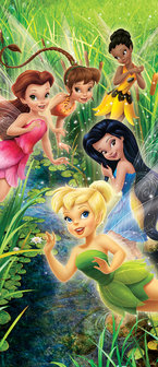 Disney Fairies deurposter