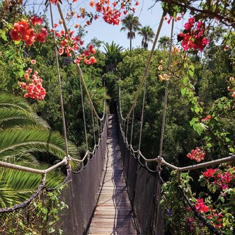 Touwbrug in jungle fotobehang