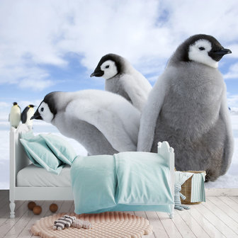 Fotobehang Pinguin kuikens