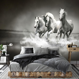 Paarden fotobehang zwart/wit