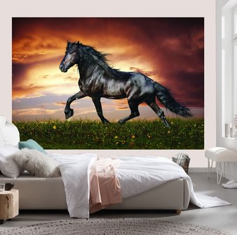 schade Verslijten neef Fries paard fotobehang L | Muurdeco4kids