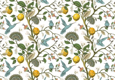 Lemon Birds behang