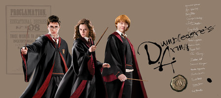 Harry Potter behang poster D.A.