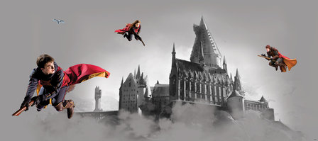 Harry Potter behang poster Zwerkbal