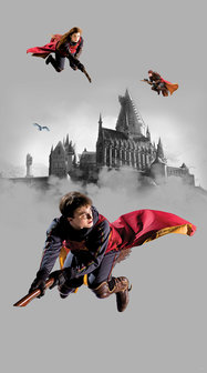 Harry Potter behang Quidditch