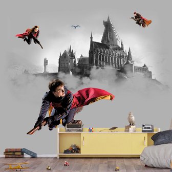 Harry Potter behang