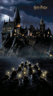 Harry Potter behang Zweinstein P2