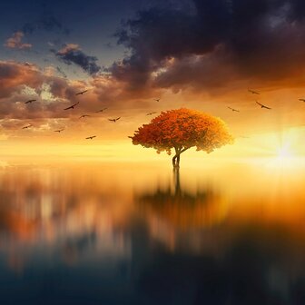 Fantasy fotobehang Sunset Tree