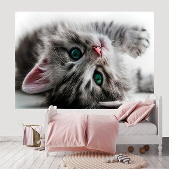 Sweet kitten fotobehang