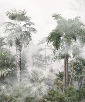 Jungle behang Tropical Forest