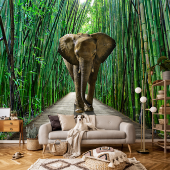 Olifant in bamboebos behang
