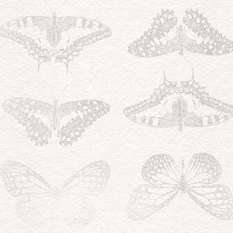 Detail Vlinder behang Mur de Papillon