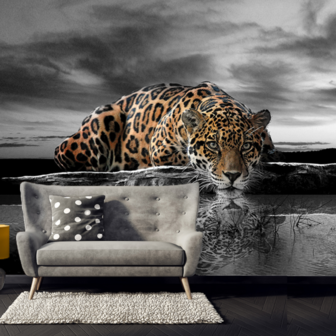 Jaguar fotobehang zwart-wit kleur