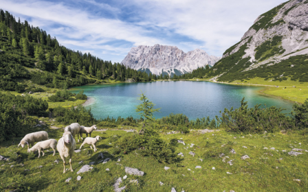 Fotobehang Alpen