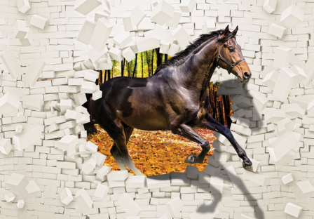 Paard door muur fotobehang 3D