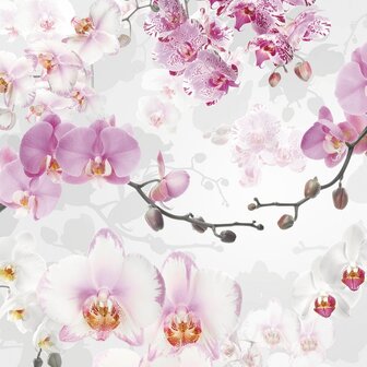 Fotobehang Allure - Orchidee&euml;n