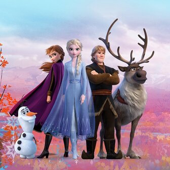 Disney Frozen behang