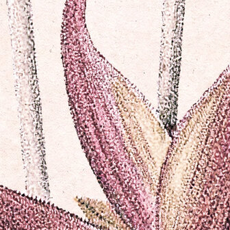 Detail Botanisch behang Marvelous Martha