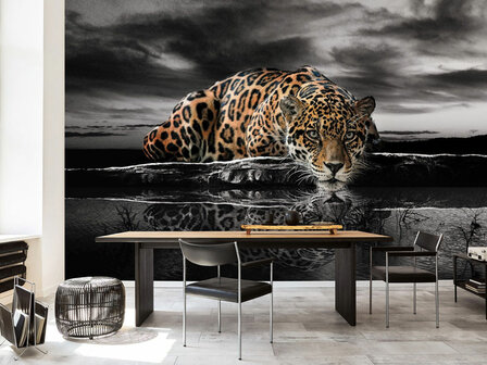 Jungle fotobehang Jaguar zwart-wit kleur