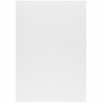 Bosdieren VINYL behang Woodland Friends