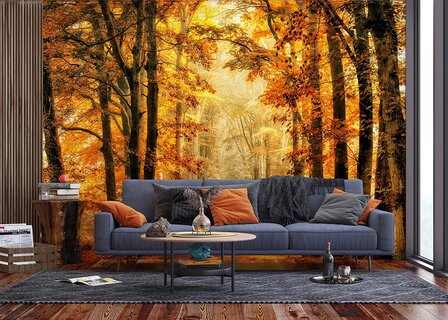 Herfstbos fotobehang XL