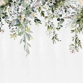 Hangende bladeren fotobehang Eucalyptus XL