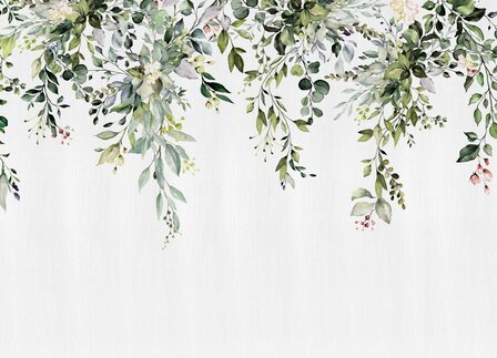 Hangende bladeren fotobehang Eucalyptus XL