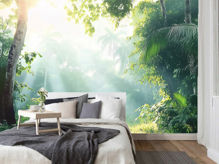 Jungle fotobehang Zonnestralen